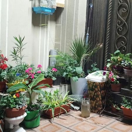Hotel Guest House Golden Degrez Buchara Exterior foto